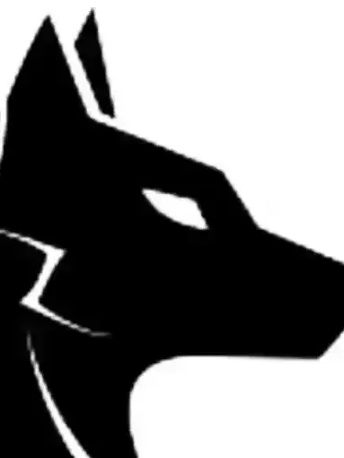 Motley Dog Training LLC